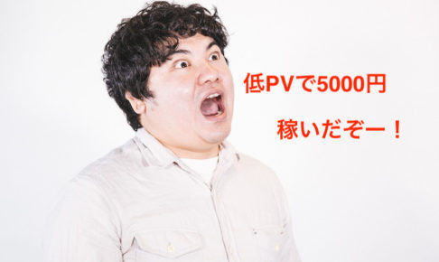 低PVで5000円稼いだ